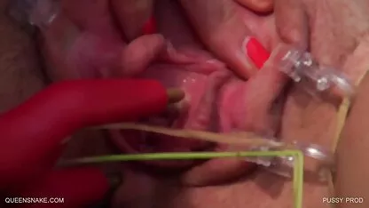 eingefärbtes Baby unterwürfig kostenlosepornovideos